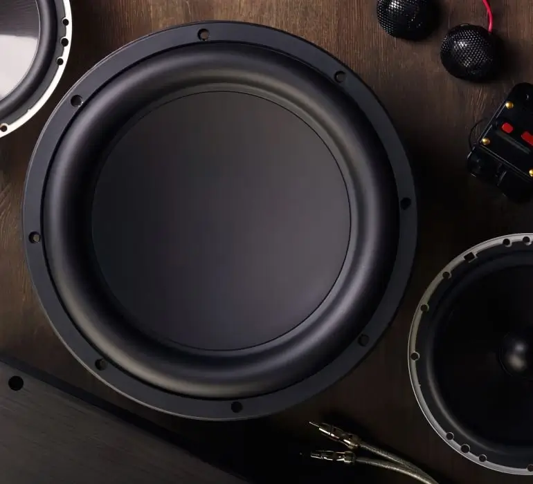 A 10-inch subwoofer designed for sound quality